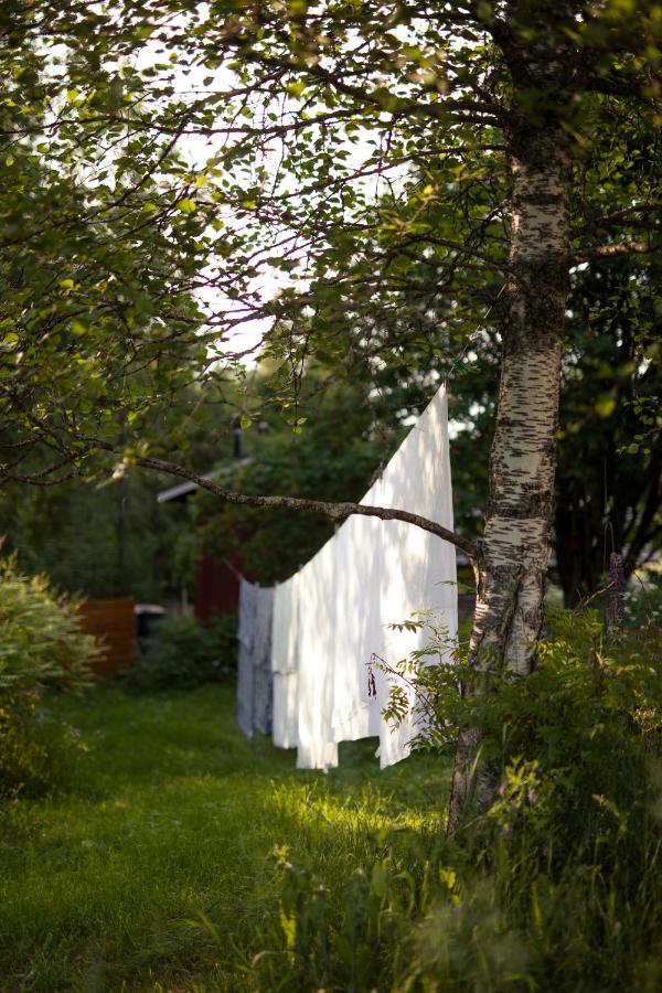 Kolin Mattila B&B Kolinkylä 외부 사진