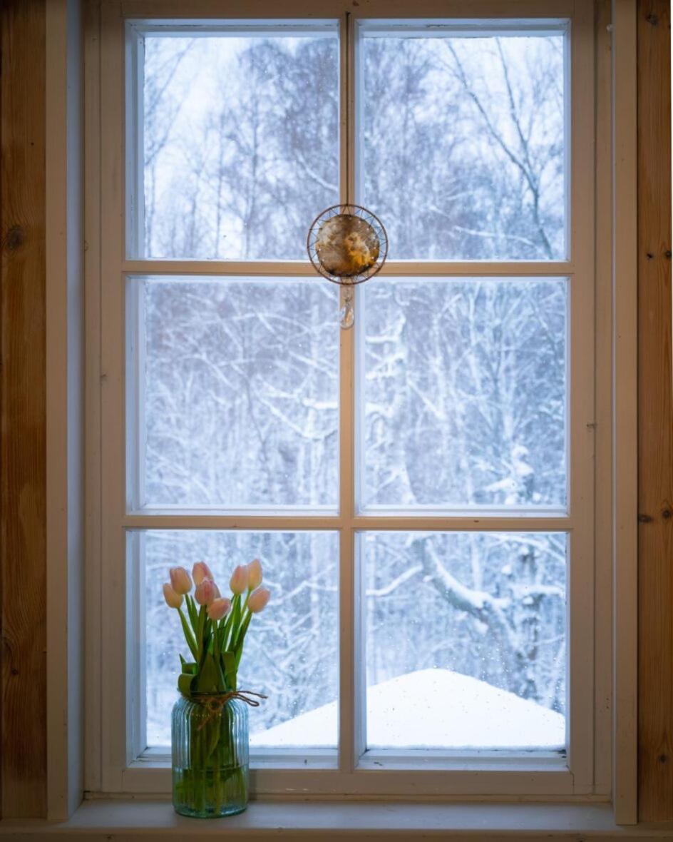 Kolin Mattila B&B Kolinkylä 외부 사진