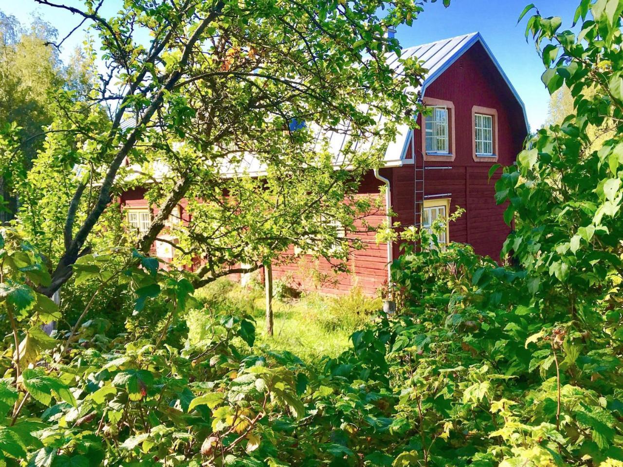 Kolin Mattila B&B Kolinkylä 외부 사진
