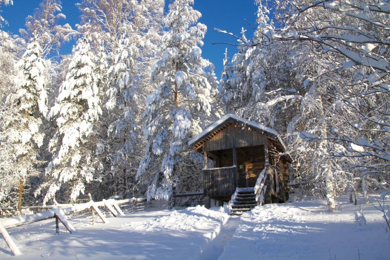 Kolin Mattila B&B Kolinkylä 외부 사진