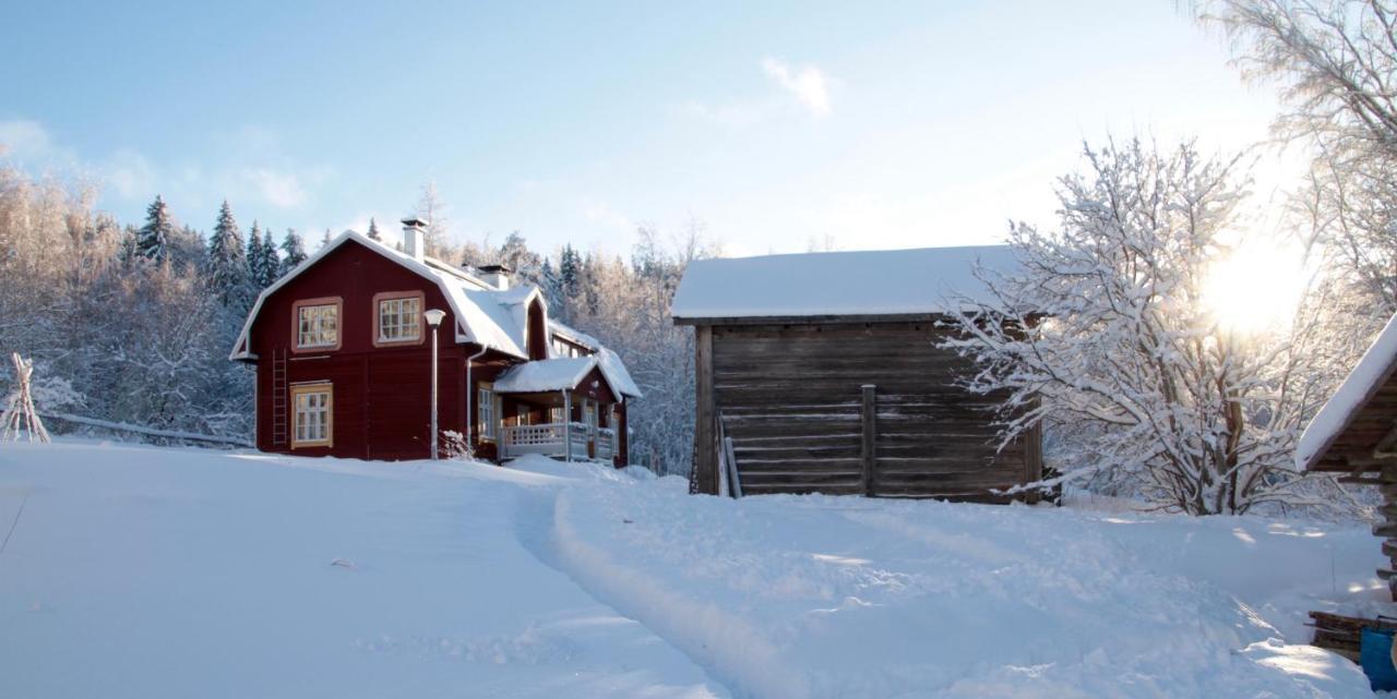Kolin Mattila B&B Kolinkylä 외부 사진