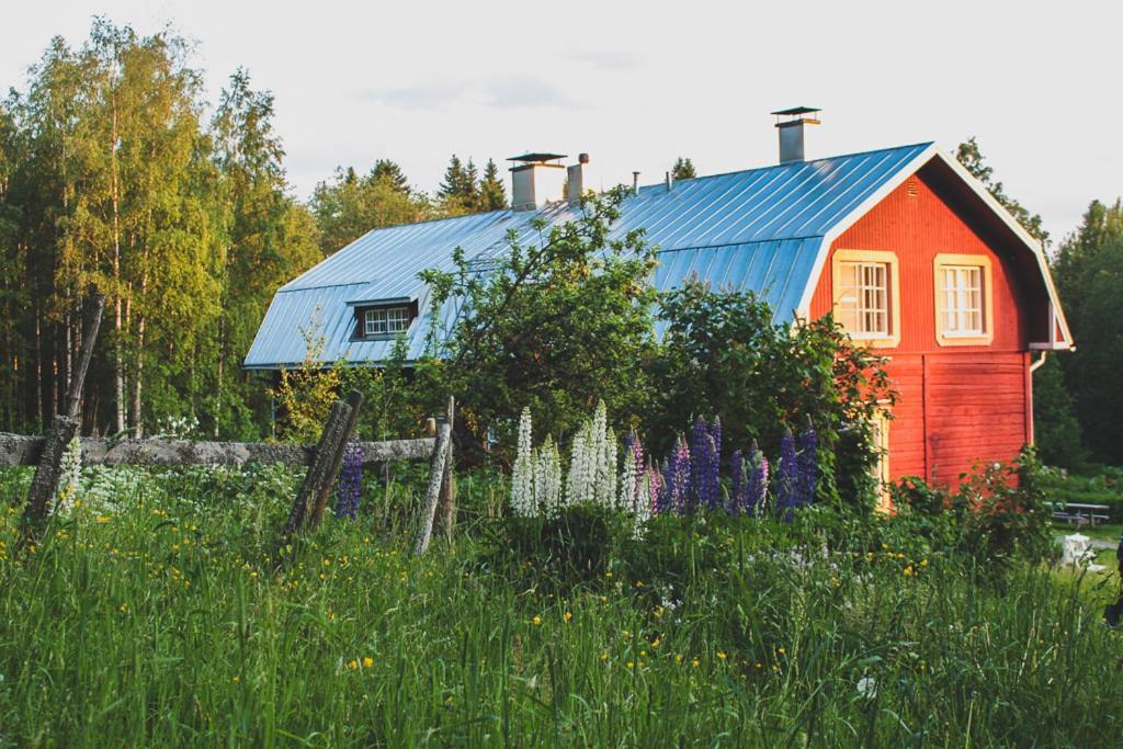 Kolin Mattila B&B Kolinkylä 외부 사진